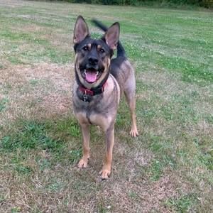 Meet your Posher, Rayna